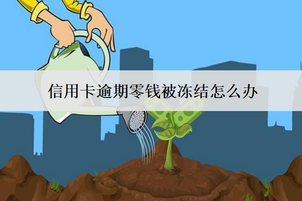 信用卡逾期零錢被凍結(jié)怎么辦？3個解決建議