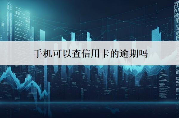 手機(jī)可以查信用卡的逾期嗎？