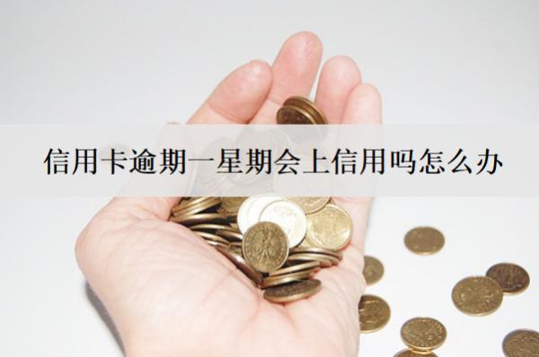 信用卡逾期一星期會(huì)上信用嗎怎么辦？
