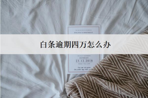 白條逾期四萬怎么辦？按這個(gè)步驟辦