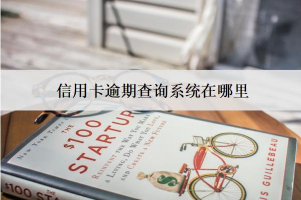 信用卡逾期查詢系統(tǒng)在哪里？在這些地方