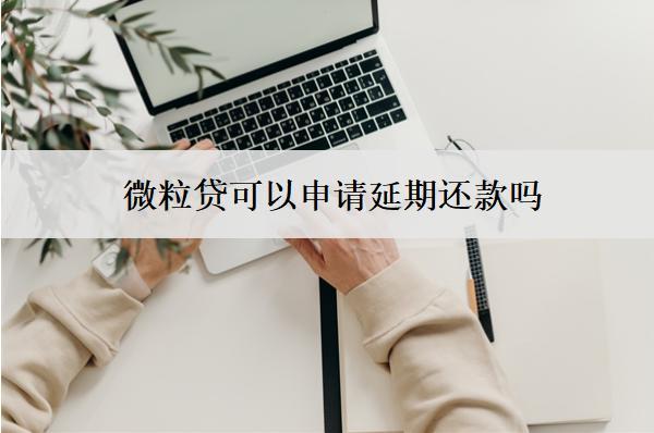微粒貸可以申請(qǐng)延期還款嗎？失敗怎么辦？