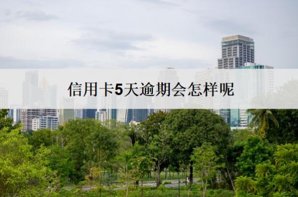 信用卡5天逾期會怎樣呢？怎么辦？