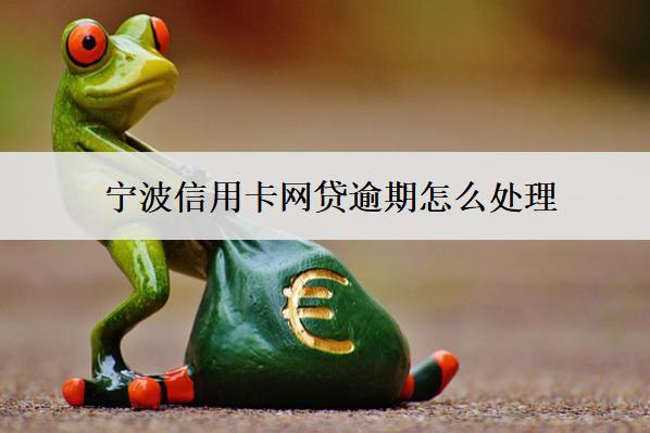 寧波信用卡網(wǎng)貸逾期怎么處理？