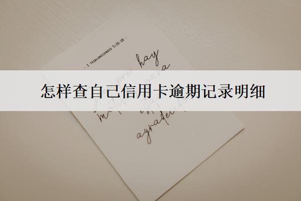 怎樣查自己信用卡逾期記錄明細(xì)？