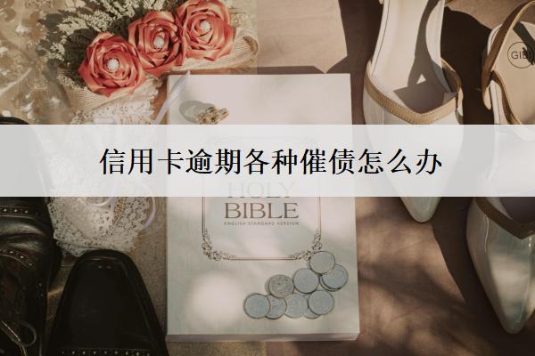 信用卡逾期各種催債怎么辦？一文告訴你如何應(yīng)對