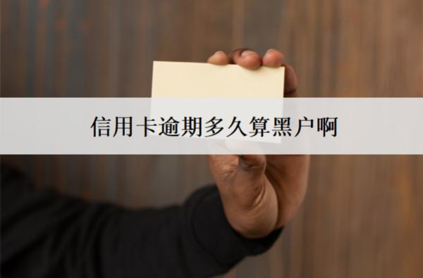信用卡逾期多久算黑戶??？多久恢復(fù)信譽(yù)？