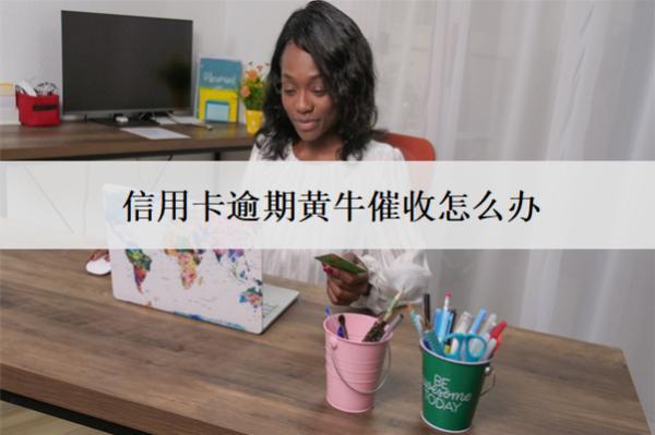 信用卡逾期黃牛催收怎么辦？解決辦法分析