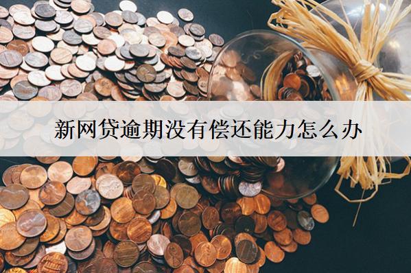 新網(wǎng)貸逾期沒有償還能力怎么辦？會導(dǎo)致什么結(jié)果？