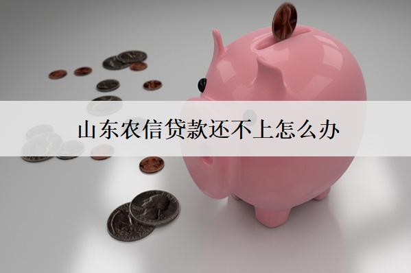 山東農(nóng)信貸款還不上怎么辦？會(huì)有什么后果？