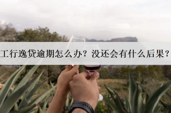 工行逸貸逾期怎么辦？沒還會(huì)有什么后果？