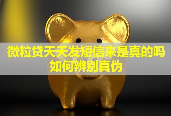 微粒貸天天發(fā)短信來是真的嗎？如何辨別真?zhèn)危?>
                                    </a>



                                </div>
                                <div   id=