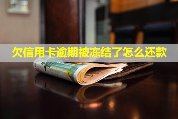 欠信用卡逾期被凍結(jié)了怎么還款？凍結(jié)了怎么解凍？