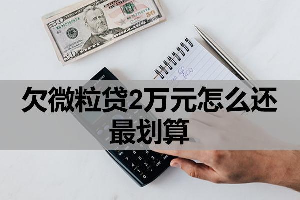 欠微粒貸2萬元怎么還最劃算