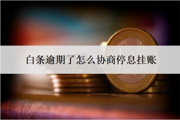 白條逾期了怎么協(xié)商停息掛賬