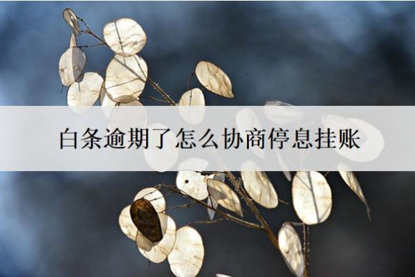 白條逾期了怎么協(xié)商停息掛賬