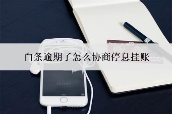白條逾期了怎么協(xié)商停息掛賬？協(xié)商還款有幾種方案？