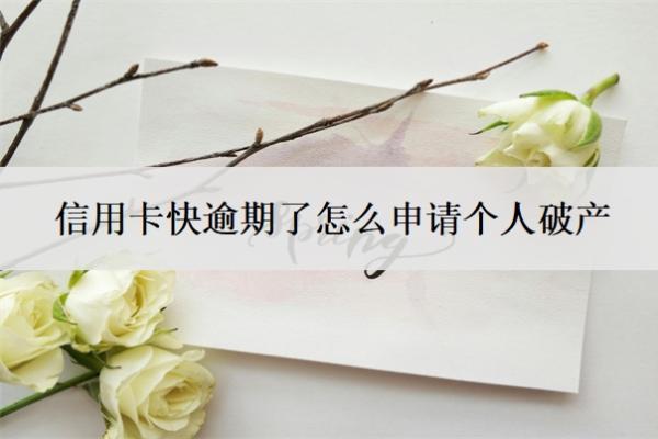 信用卡快逾期了怎么申請(qǐng)個(gè)人破產(chǎn)？負(fù)債30萬(wàn)無(wú)力償還怎么辦？