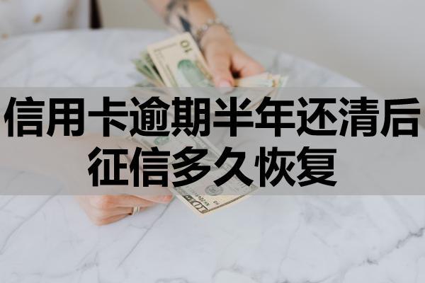 信用卡逾期半年還清后征信多久恢復(fù)？?jī)?nèi)行人給出答案