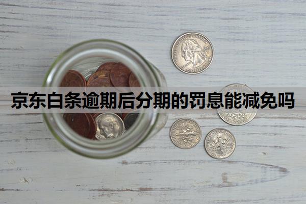 京東白條逾期后分期的罰息能減免嗎