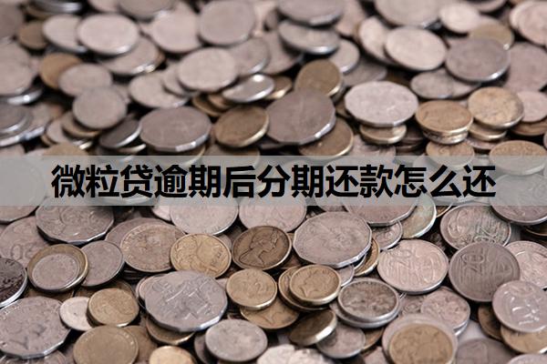 微粒貸逾期后分期還款怎么還