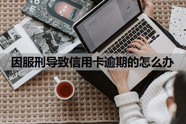 因服刑導(dǎo)致信用卡逾期的