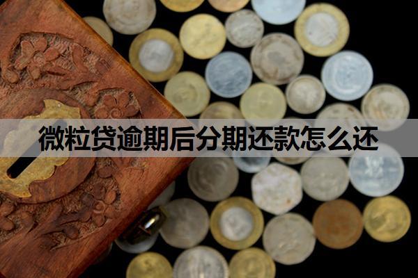 微粒貸逾期后分期還款怎么還？還款后額度沒恢復是為什么？