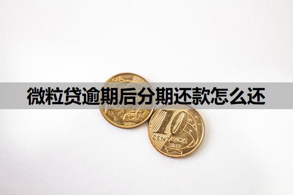 微粒貸逾期后分期還款怎么還