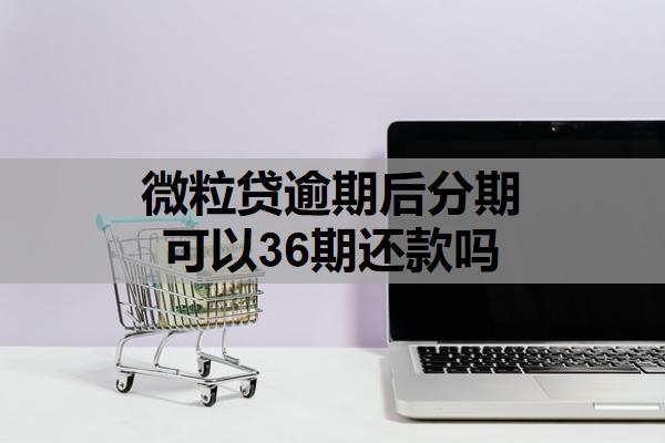微粒貸逾期后分期可以36期還款嗎？分期政策及實(shí)操性