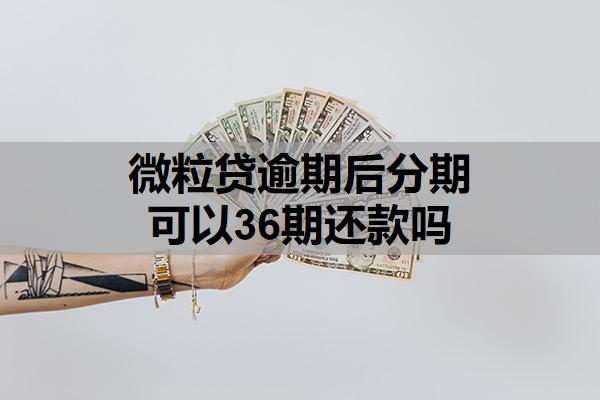 微粒貸逾期后分期可以36期還款嗎
