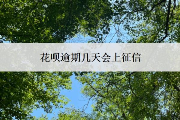 花唄逾期幾天會上征信？怎么協(xié)商還本金？