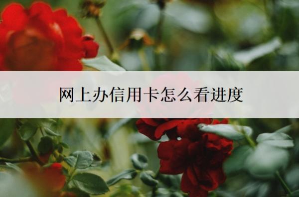 網(wǎng)上辦信用卡怎么看進(jìn)度？寄到了會(huì)通知嗎？