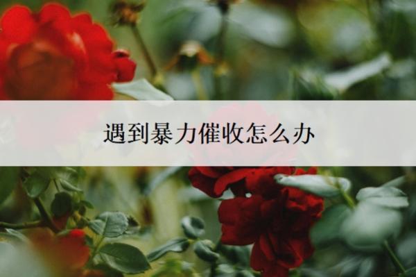 遇到暴力催收怎么辦？怎么防止催收爆通訊錄？