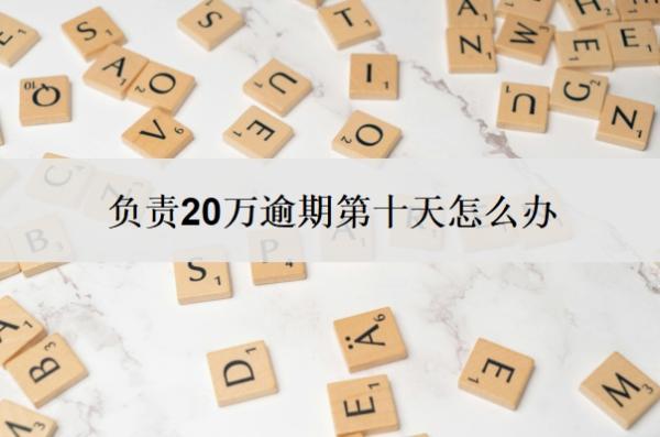 負責20萬逾期第十天怎么辦