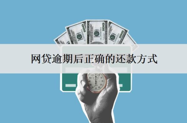 網(wǎng)貸逾期后正確的還款方式？多久會(huì)讓你一次還清？