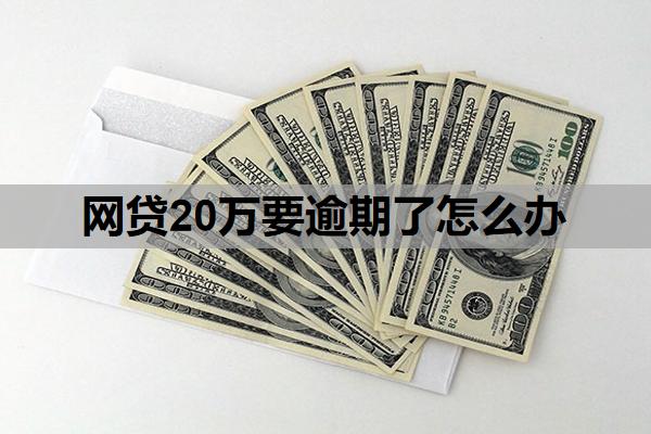 網(wǎng)貸20萬(wàn)要逾期了怎么辦