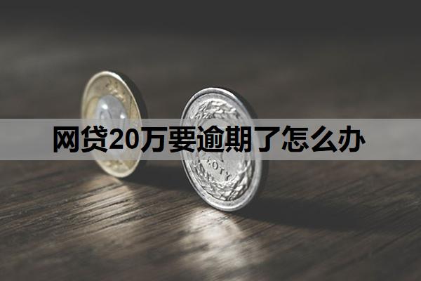 網(wǎng)貸20萬(wàn)要逾期了怎么辦