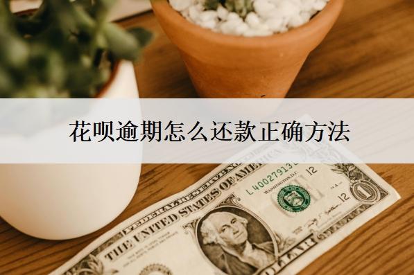 花唄逾期怎么還款正確方法？可以慢慢還嗎？