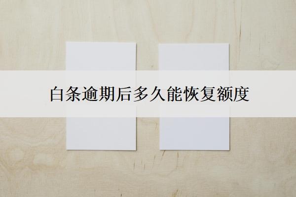 白條逾期后多久能恢復(fù)額度？逾期5天能補救嗎？