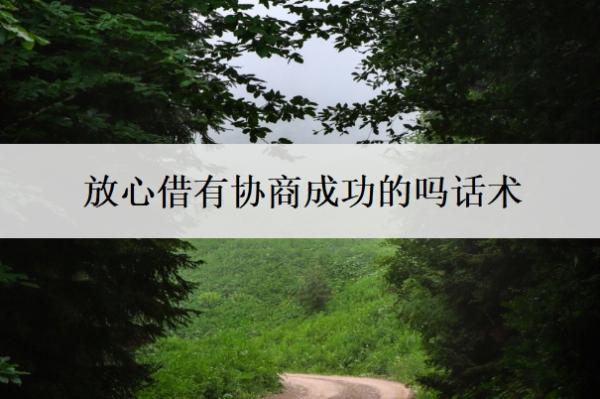 放心借有協(xié)商成功的嗎話術(shù)？可以協(xié)商分36期嗎？