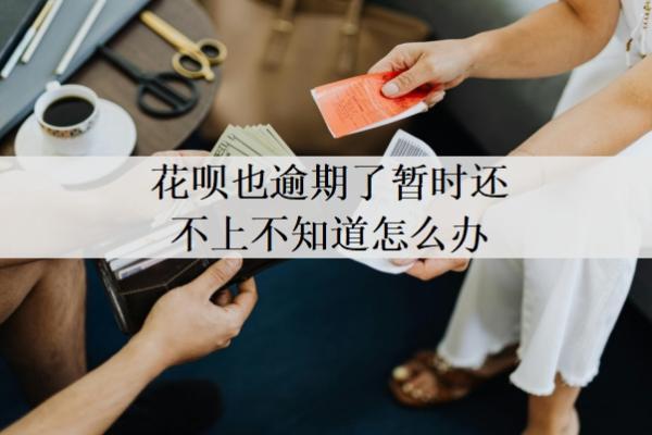 花唄也逾期了暫時(shí)還不上不知道怎么辦？逾期還不上會(huì)有什么后果？