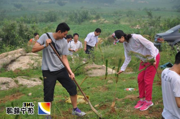 义桥煤矿青年志愿者服务队参加义务植树活动