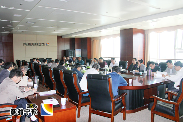 张广宇主持召开鲲鹏公司、九矿置业经济分析专题会议