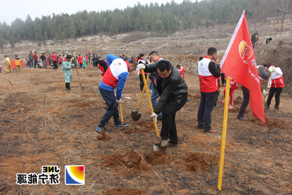 集团公司青年志愿者积极参加义务植树活动