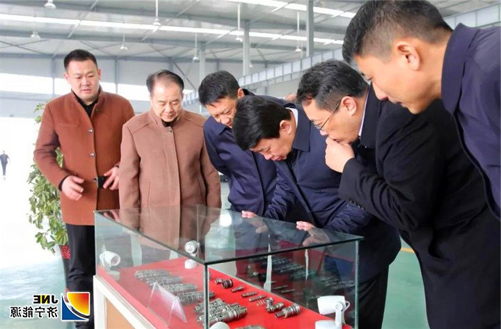 2019年2月26日，张百顺到落陵盛源公司现场巡查指导工作02（孙兴华）.jpg