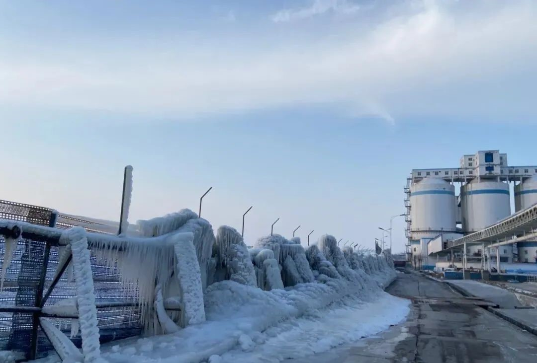 1608532697299507.jpg 2.jpg