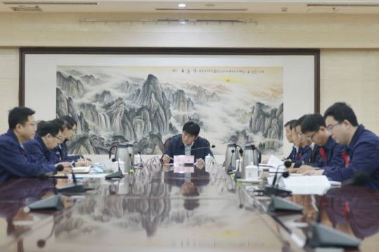 杨立新参加指导安居煤矿领导班子民主生活会