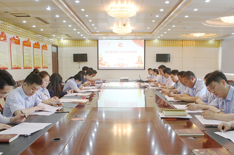 阳城煤电：召开党史学习教育工作推进会迅速传达贯彻集团公司党建会议上的讲话精神.JPG
