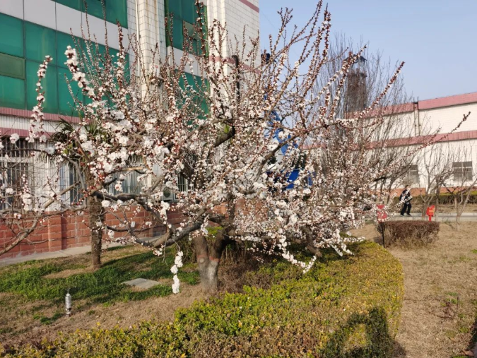 微信截图_20220314091400.png
