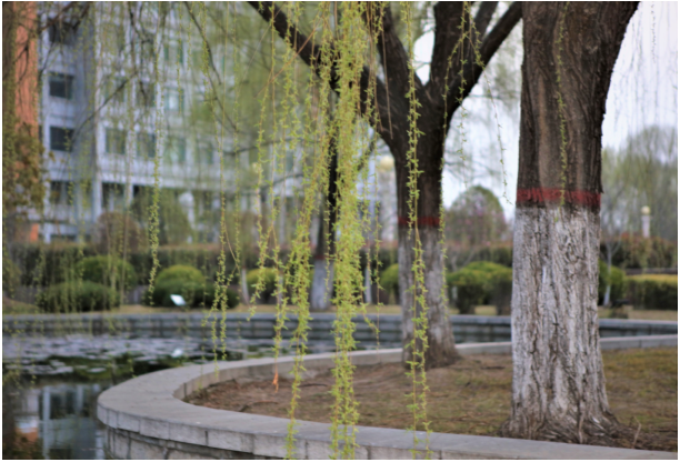 微信截图_20220314095707.png